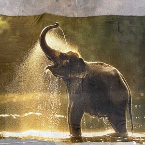 Ottotredici Scarf “Elephant Joy”